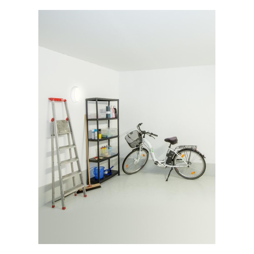 Müller-Licht - Plafonnier extérieur LED PICTOR LED/8W/230V IP54