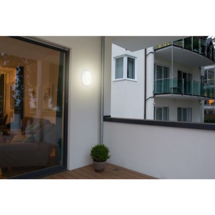 Müller-Licht - Plafonnier extérieur LED PICTOR LED/8W/230V IP54