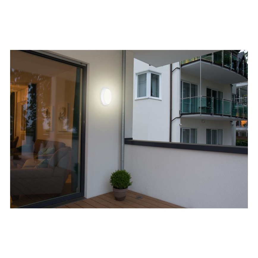 Müller-Licht - Plafonnier extérieur LED PICTOR LED/8W/230V IP54