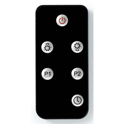 Élément chauffant électrique extérieur 2000 W/230 V IP65 + Télécommande