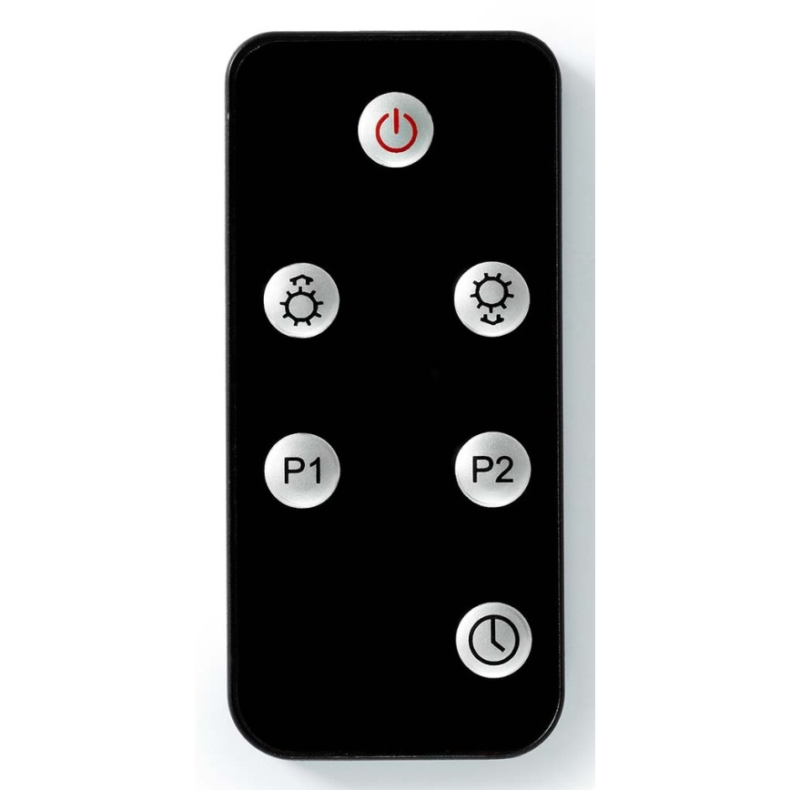 Élément chauffant électrique extérieur 2000 W/230 V IP65 + Télécommande