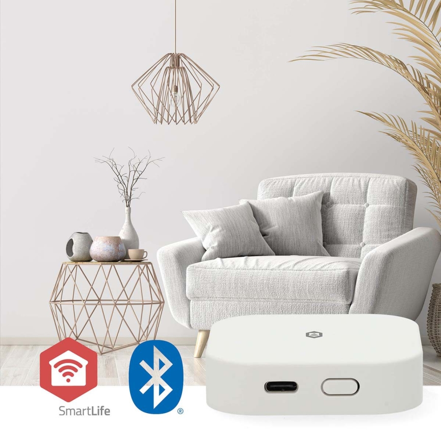 Passerelle intelligente SmartLife 5V Wi-Fi