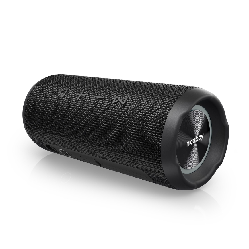 Niceboy Nexus - Enceinte sans fil LED avec microphone 26W/4000 mAh IPX6 noir