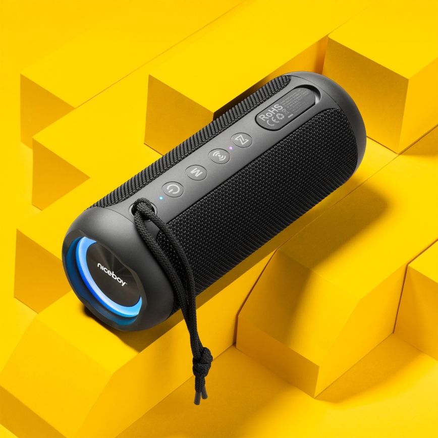 Niceboy Polaris - Enceinte sans fil LED avec un micro 30W/4000 mAh IPX7 noir