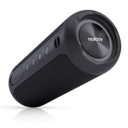 Niceboy Polaris - Enceinte sans fil LED avec un micro 30W/4000 mAh IPX7 noir