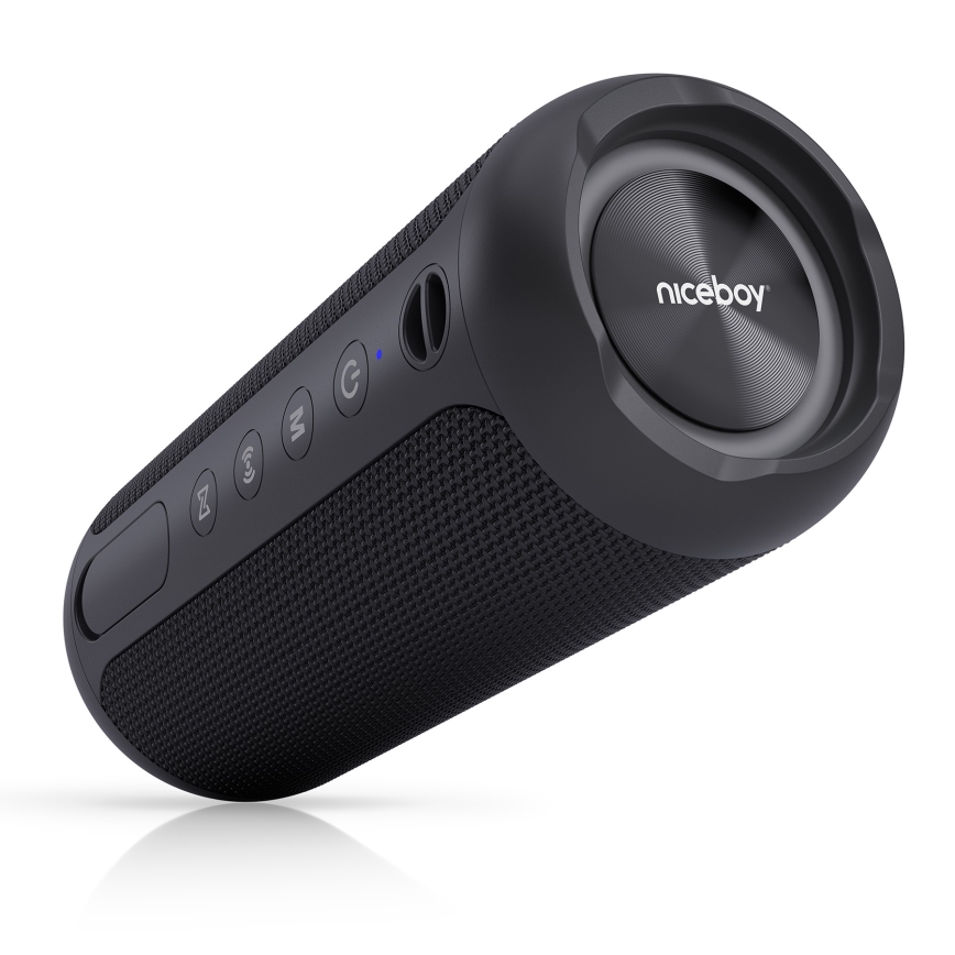 Niceboy Polaris - Enceinte sans fil LED avec un micro 30W/4000 mAh IPX7 noir
