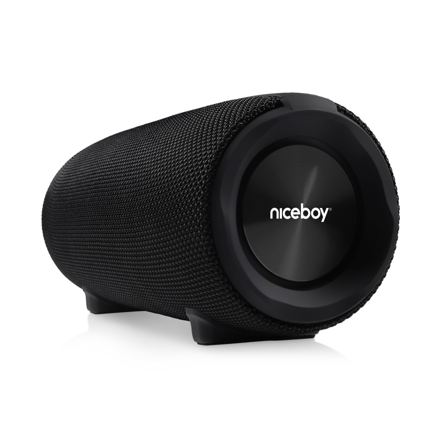 Niceboy Titan 4 - Enceinte sans fil LED avec un micro et fonction batterie portative 50W/4000 mAh IPX7 noir