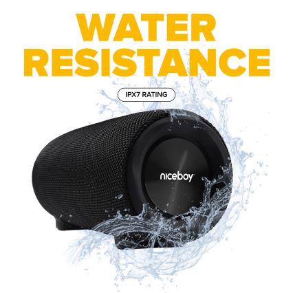 Niceboy Titan 4 - Enceinte sans fil LED avec un micro et fonction batterie portative 50W/4000 mAh IPX7 noir
