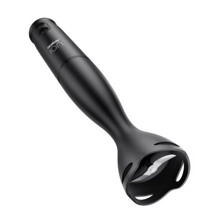 Niceboy Twister T1 - Mixeur plongeant 500W/230V noir