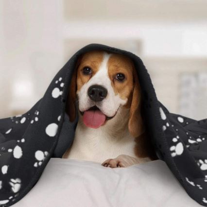 Nobleza - Couverture pour animaux 100x120 cm noire