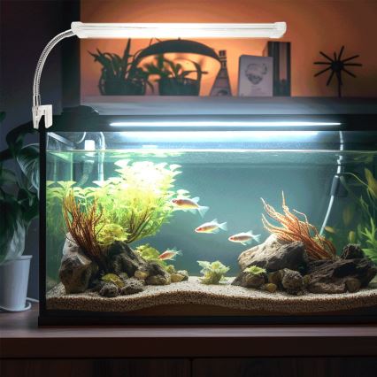 Nobleza - Éclairage d'aquarium LED/8W/230V IPX7 30 cm