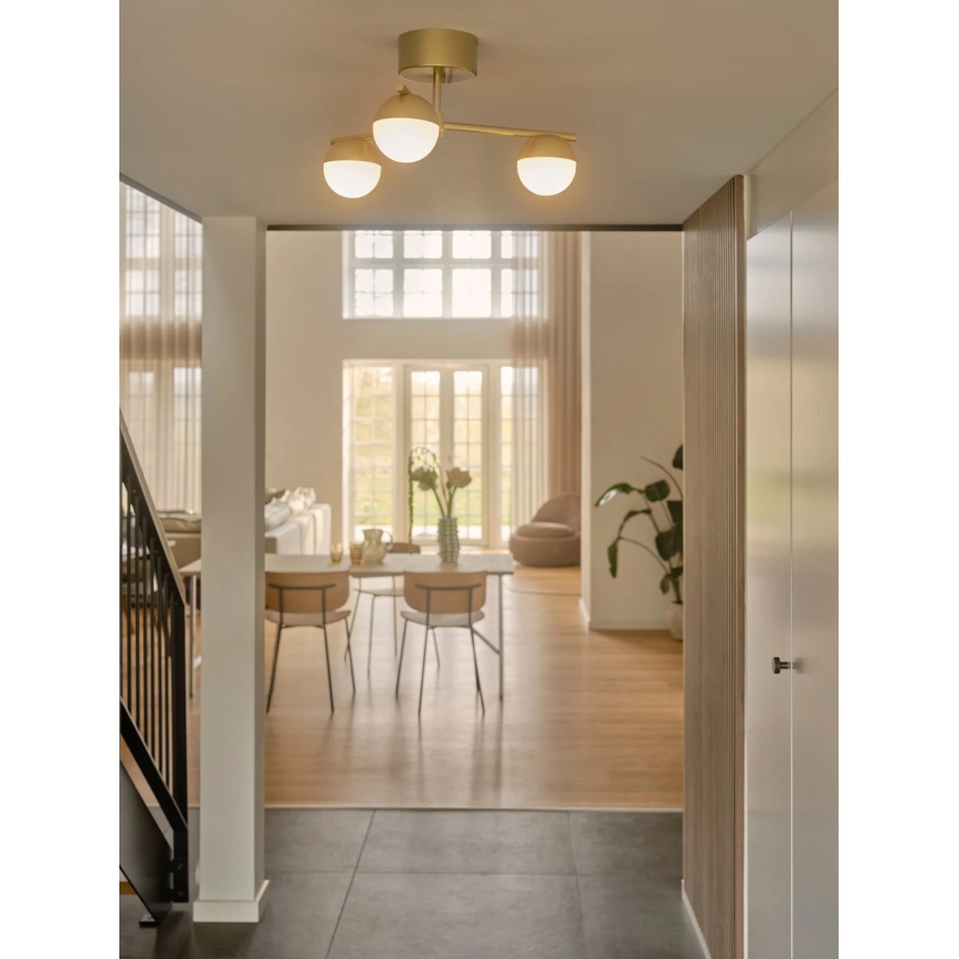 Nordlux - Plafonnier CONTINA 3xG9/5W/230V laiton