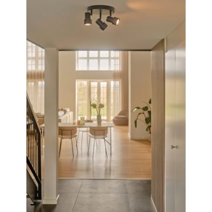 Nordlux - Spot BOSTON 3xGU10/5W/230V noir