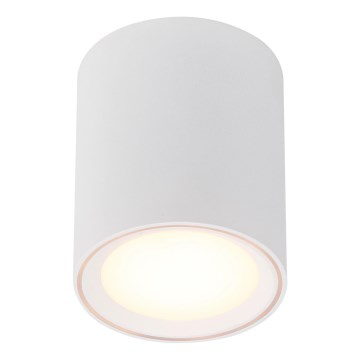 Nordlux - Spot LED dimmable FALLON LONG LED/5,5W/230V blanc