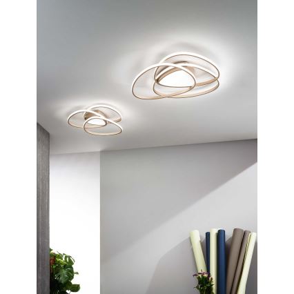 Ondaluce - Plafonnier LED dimmable ROSE LED/80W/230V 71x76 cm doré