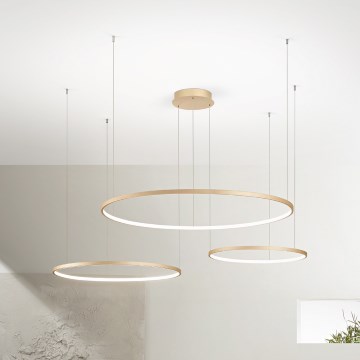 Ondaluce - Suspension dimmable sur câble SOEL LED/28W/230V + LED/38W + LED/47W Ø 100/80/60 cm dorée