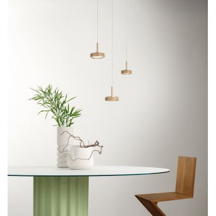 Ondaluce - Suspension LED sur câble NINA LED/20W/230V Ø 19 cm dorée