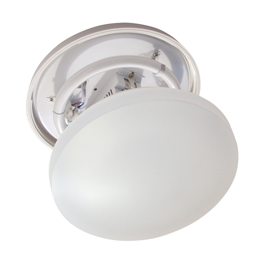 Opple FIMX 290/6500 - Luminaire salle de bain 1xG10q/22W/230V