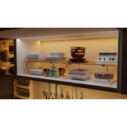 Organisateur d'étagère 42x19 cm doré