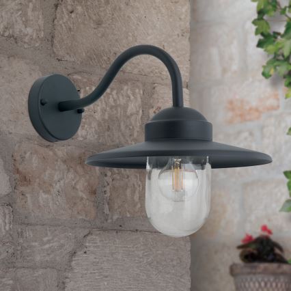 Applique murale extérieure EDWARD 1xE27/60W/230V IP44 noir
