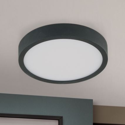 Plafonnier BULLY LED/12W/230V d. 14 cm noir