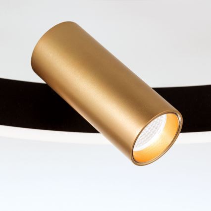 Plafonnier LED dimmable BERLIN LED/50W/230V noir/doré