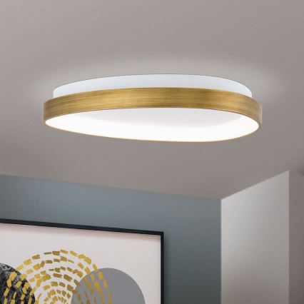 Plafonnier CHARLIE LED/35W/230V d. 45 cm doré