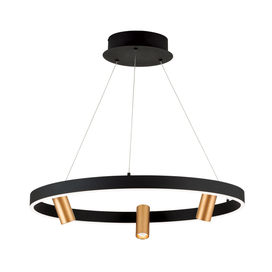 Suspension filaire à intensité variable BERLIN LED/50W/230V noir/doré