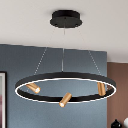 Suspension filaire à intensité variable BERLIN LED/50W/230V noir/doré