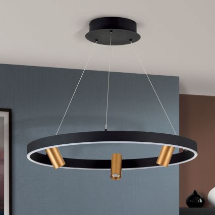 Suspension filaire à intensité variable BERLIN LED/50W/230V noir/doré