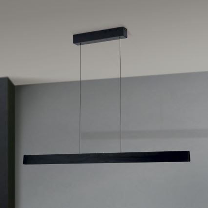 Suspension LED dimmable sur câble TARA LED/44W/230V 2700/3800/4500/5700K noir