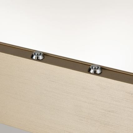 Suspension LED dimmable sur câble TARA LED/44W/230V 2700/3800/4500/5700K doré