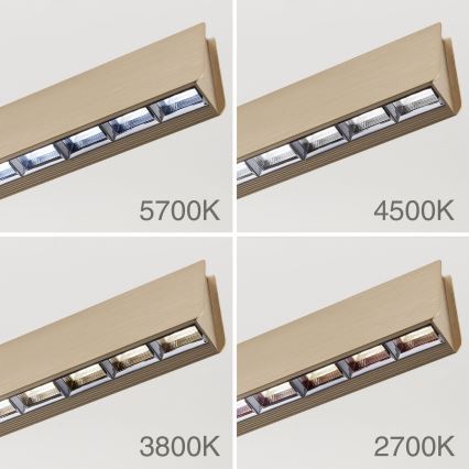 Suspension filaire à intensité variable TARA LED/44W/230V 2700/3800/4500/5700K doré