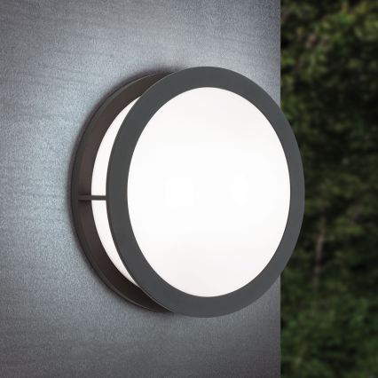 Luminaire d'extérieur HENRY 2xE27/15W/230V diam. 30 cm IP44 anthracite
