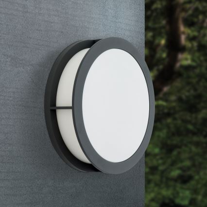 Luminaire d'extérieur HENRY 2xE27/15W/230V diam. 30 cm IP44 anthracite