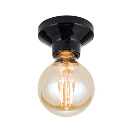 Plafonnier FROST 1xE27/60W/230V noir