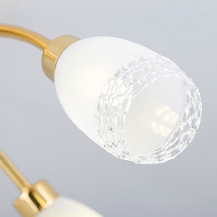 Plafonnier CARLA 5xG9/28W/230V doré