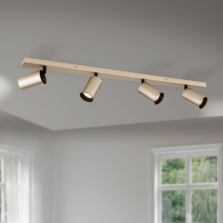 Spot orientable SEAN 4xGU10/13W/230V doré