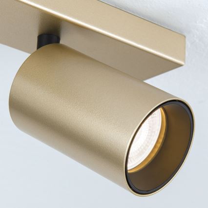 Spot orientable SEAN 4xGU10/13W/230V doré