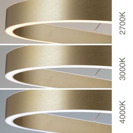 Suspension LED sur câble CARRARA LED/80W/230V 2700/3000/4000K dorée