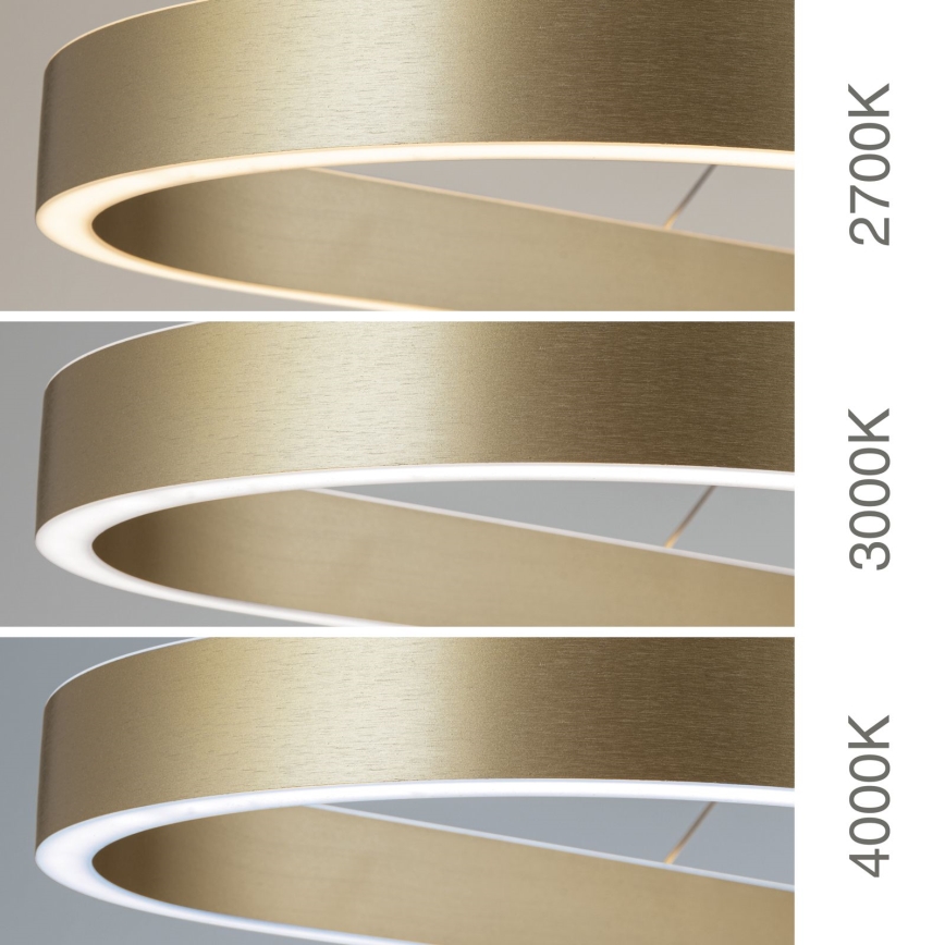 Suspension LED sur câble CARRARA LED/80W/230V 2700/3000/4000K dorée