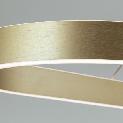 Suspension LED sur câble CARRARA LED/80W/230V 2700/3000/4000K dorée