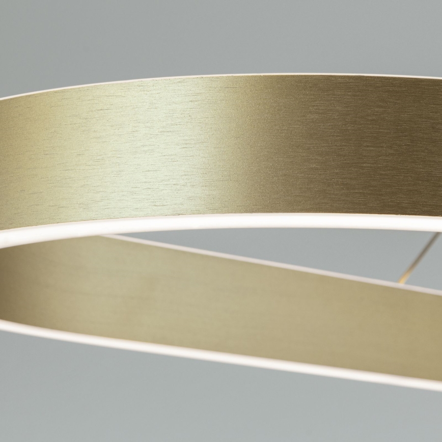 Suspension LED sur câble CARRARA LED/80W/230V 2700/3000/4000K dorée