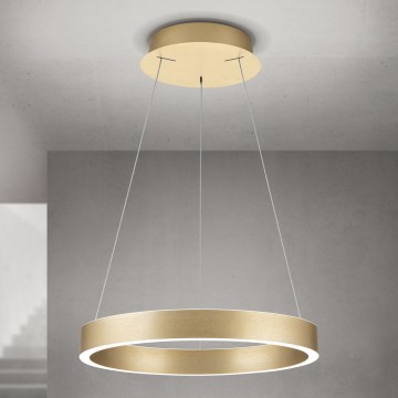 Orion - Suspension LED dimmable sur câble KOLK LED/40W/230V 2700/3000/4000K Ø 40 cm dorée