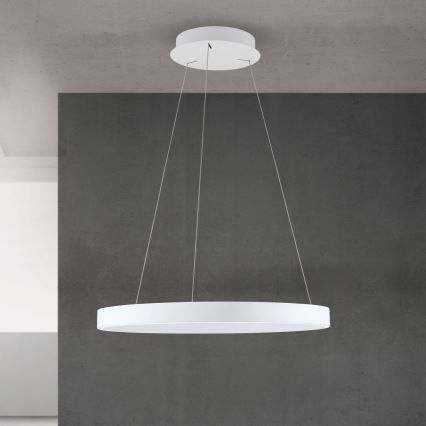 Suspension LED dimmable sur câble KOLK LED/60W/230V 2700/3000/4000K Ø 60 cm blanche
