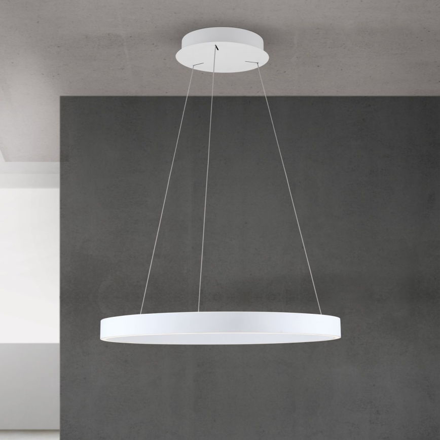 Suspension LED dimmable sur câble KOLK LED/60W/230V 2700/3000/4000K Ø 60 cm blanche