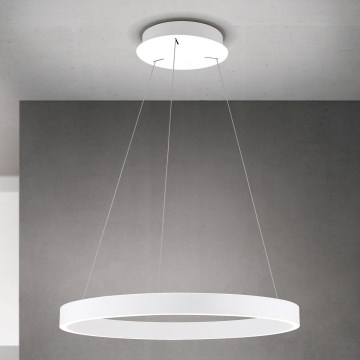 Orion - Suspension LED dimmable sur câble KOLK LED/60W/230V 2700/3000/4000K Ø 60 cm blanche