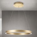Orion - suspension LED dimmable sur câble KOLK LED/60W/230V 2700/3000/4000K Ø 60 cm dorée