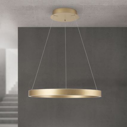 suspension LED dimmable sur câble KOLK LED/60W/230V 2700/3000/4000K Ø 60 cm dorée