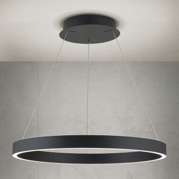 Orion - Suspension LED dimmable sur câble KOLK LED/60W/230V 2700/3000/4000K Ø 60 cm noir